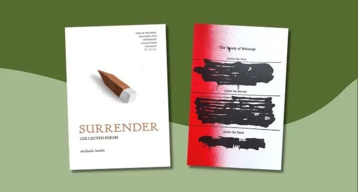 Books and the Principles of the Treaty of Waitangi Bill