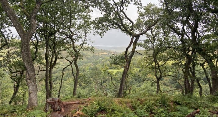 Claire M in-article IMAGE 1.jpg