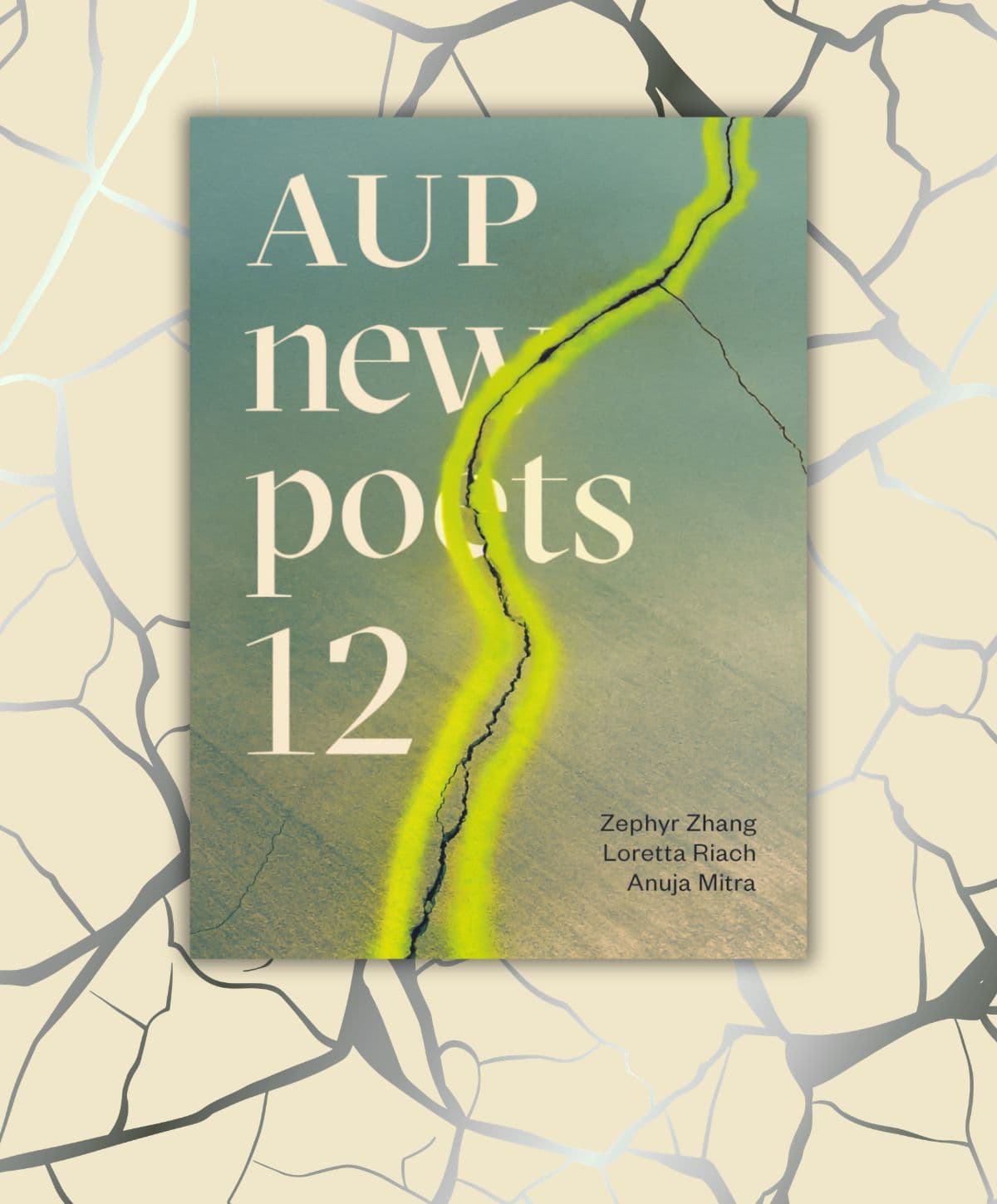 Review: AUP New Poets 12