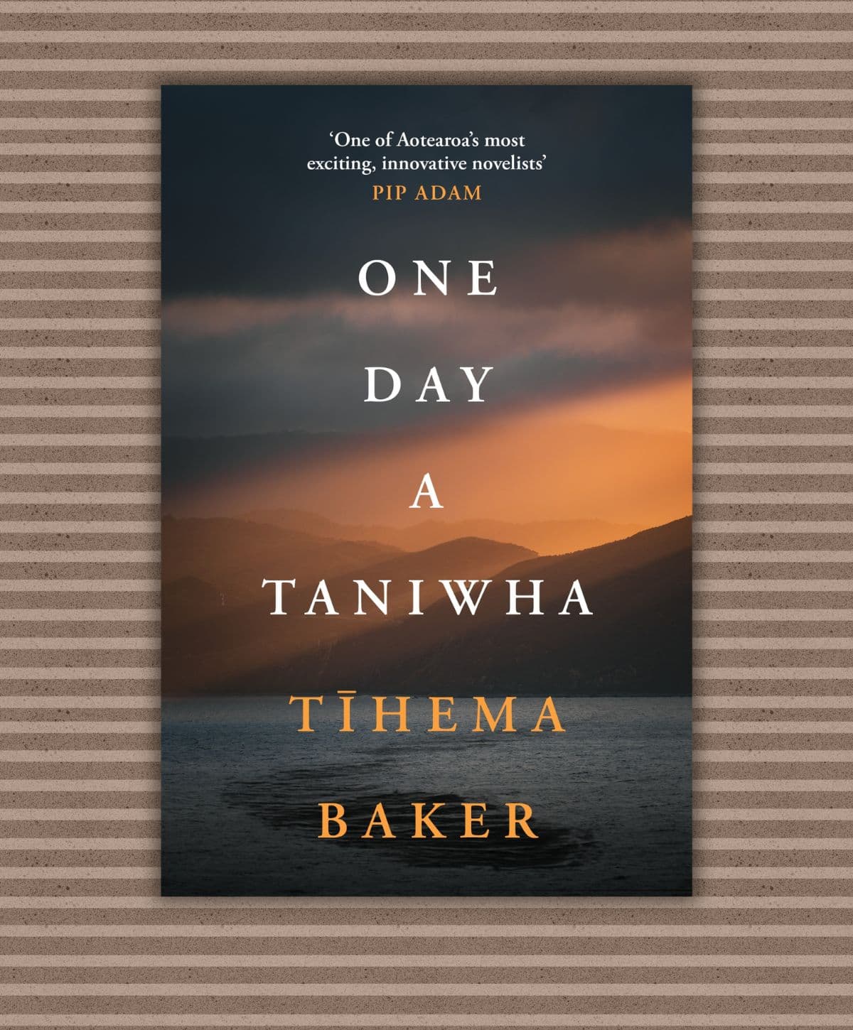 Review: One Day a Taniwha, by Tīhema Baker