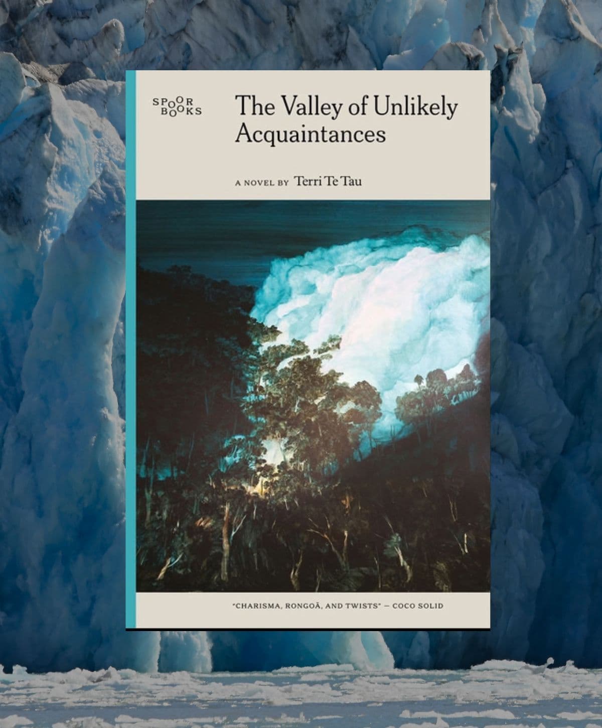 Review: The Valley of Unlikely Acquaintances, by Terri Te Tau