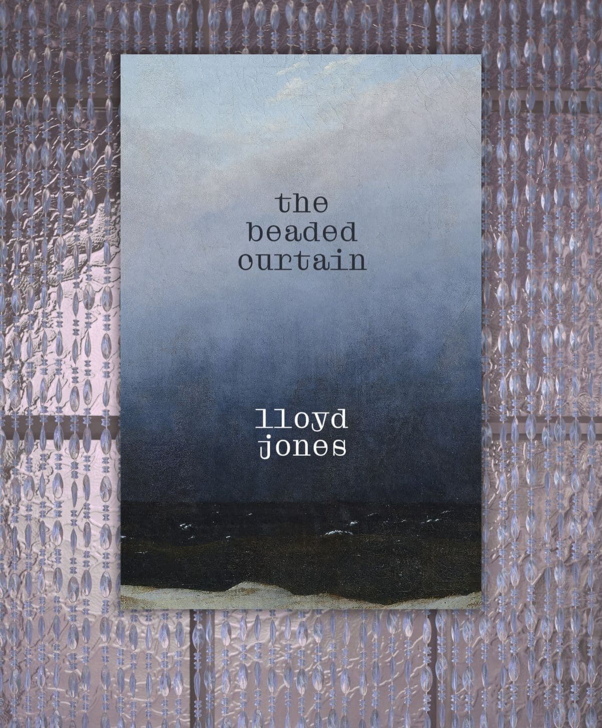 Review: The Beaded Curtain, by Lloyd Jones