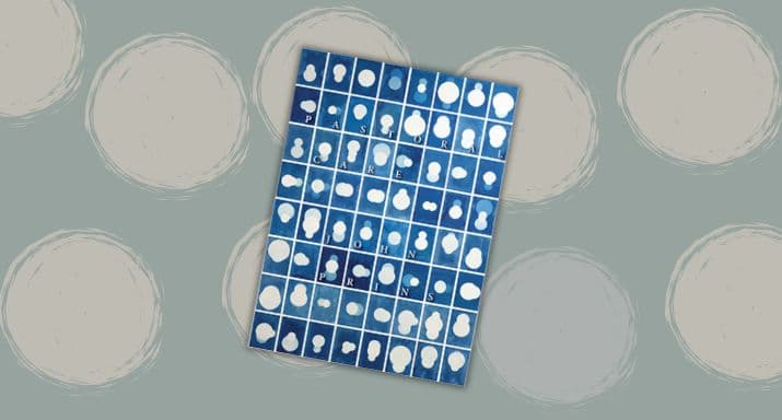 Review: Pastoral Care, by John Prins