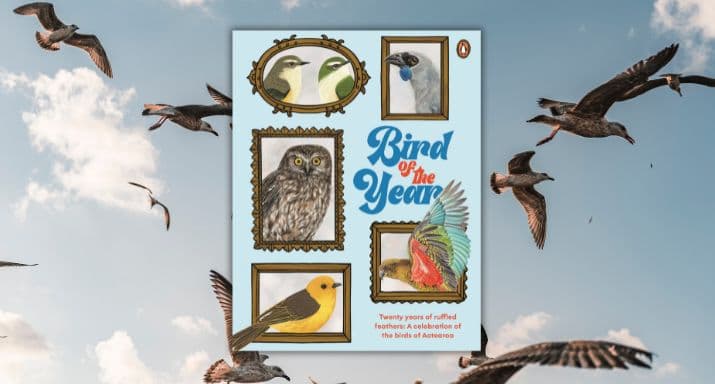 Review: Bird of the Year