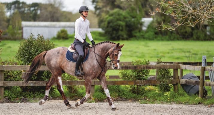 Kete HOME PAGE IMAGES 715 X 384(659).jpg