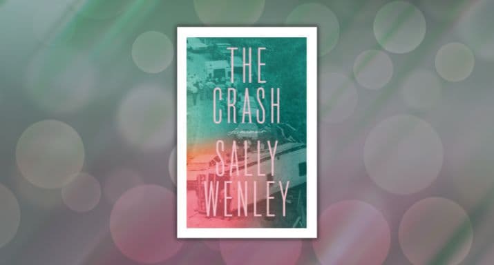 Review: The Crash, by Sally Wenley