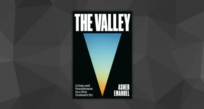 Review: The Valley, by Asher Emanuel