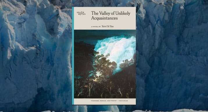 Review: The Valley of Unlikely Acquaintances, by Terri Te Tau