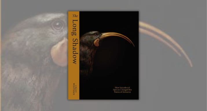 Kete HOME PAGE IMAGES 715 X 384(459)