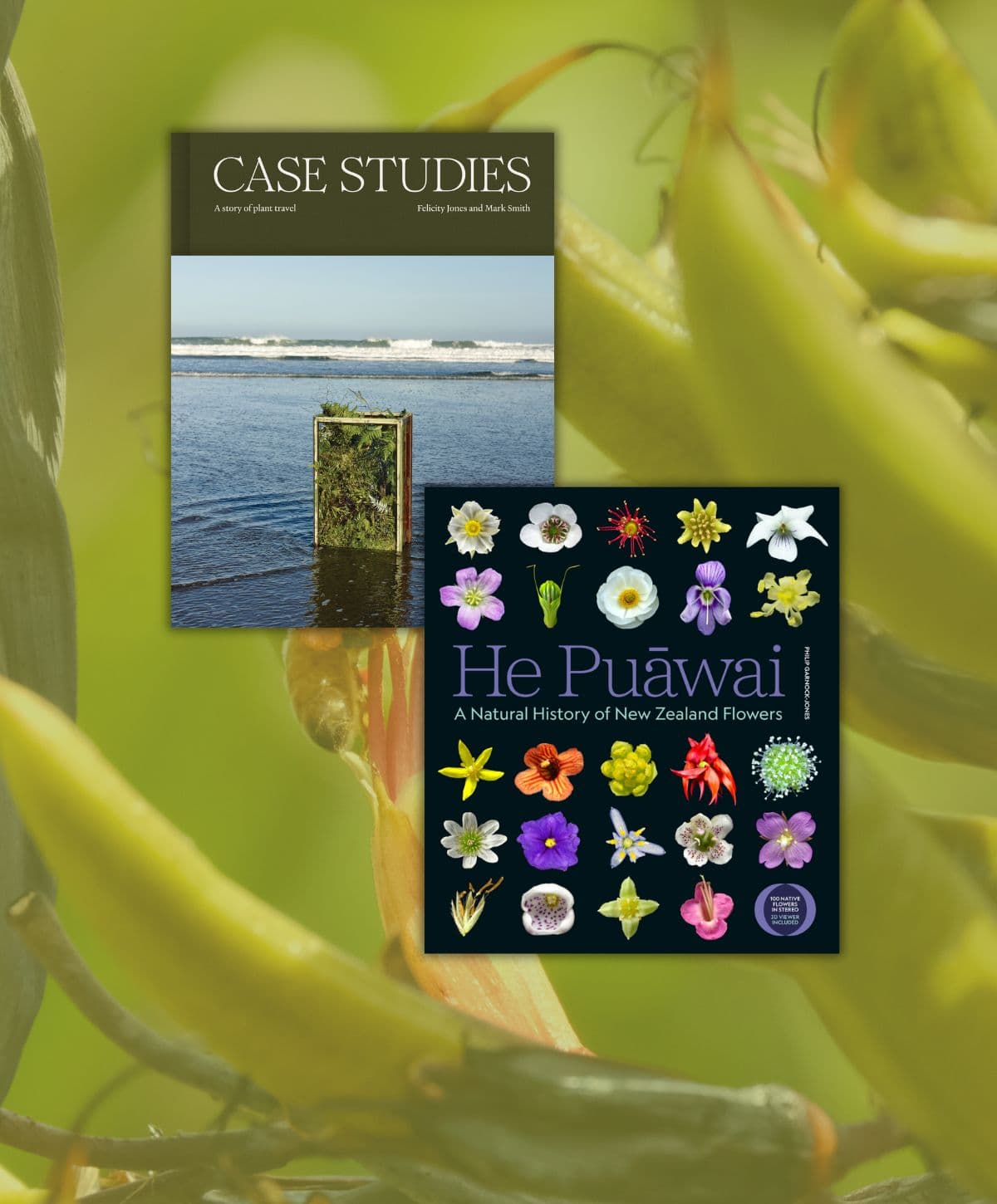 Feature image size(83)